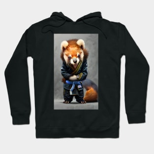 Raccoon jiujitsu Hoodie